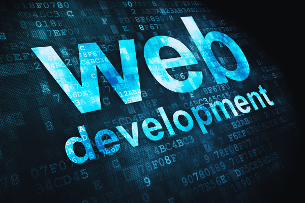Best web designing course in Mandi Himachal Pradesh with practical website development training